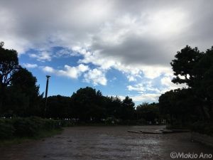 西の空は晴れている