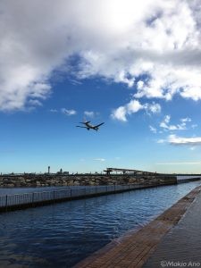 機影の下の水路のようになった遊歩道