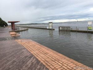 水浸しの遊歩道