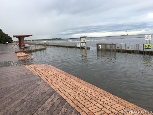 水浸しの遊歩道