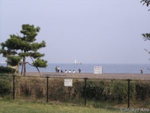 キャンプ場より砂浜を望む