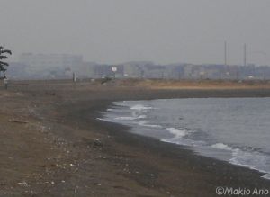 砂浜